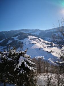 玛丽亚阿尔姆Ferienwohnung Klappacher的享有河流的景色,上面有雪