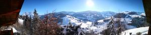 玛丽亚阿尔姆Ferienwohnung Klappacher的享有雪覆盖的山脉和树木的景色