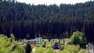 伊尔梅瑙瓦尔德兰旅馆的山前的小镇,树木繁茂