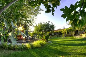 布尔加沃Levana Guest House的享有庭院和房屋的景色