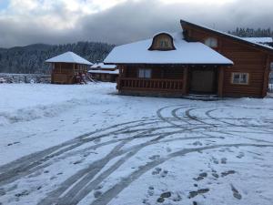 马纳斯提雷亚胡莫鲁鲁伊Cabana Goralilor的前面的地面上积雪的建筑