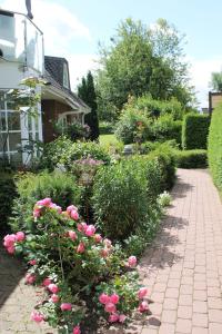 蒂门多弗施特兰德Forsthaus Wendt的一座种植了粉红色花卉的花园