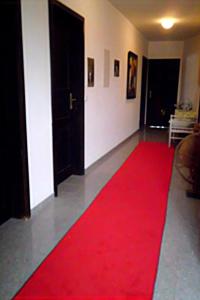 NeufeldenAppartement St. Peter a Wimberg的客厅里红地毯