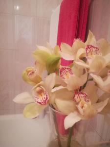加亚新城海星度假屋的浴室里白色花瓶