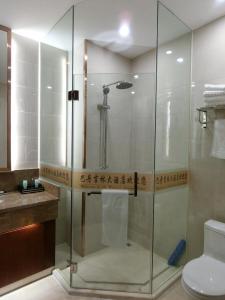 阿拉善左旗阿拉善盟左旗巴丹吉林大酒店的一间带卫生间的浴室内的玻璃淋浴间