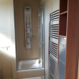 塞内奇Villa Kysucka的带淋浴的浴室,带玻璃门