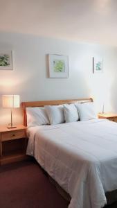 洛杉矶洛杉矶市中心酒店的一间卧室配有一张白色大床和床头柜