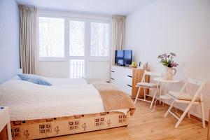 莫德拉Penzión Modrý Dom的一间卧室配有一张床、一张书桌和一台电视