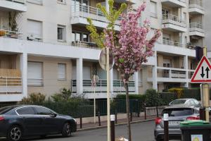 莱克朗兰比塞特尔巴黎梅布雷普罗赫一室公寓的一座建筑物前有粉红色花的树