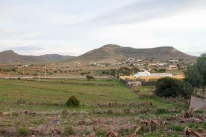 Los AlbaricoquesVivienda Rural Alba的享有山脉背景的田野景色