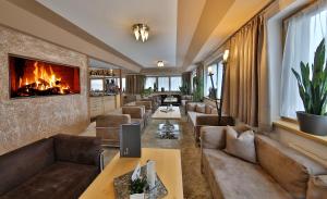瑟弗浩斯西尔维埃塔酒店的带沙发和壁炉的客厅