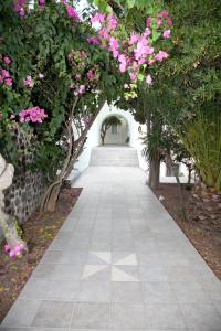 费拉中庭别墅酒店的花园内一条绿着粉红色花的步道