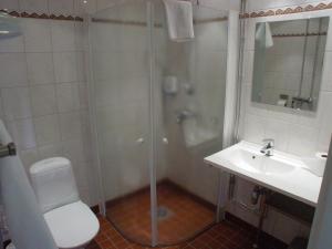 赫尔辛基安娜酒店的带淋浴、卫生间和盥洗盆的浴室