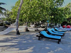 辛加东卡Likuri Island Resort Fiji的海滩上一排长椅,树丛