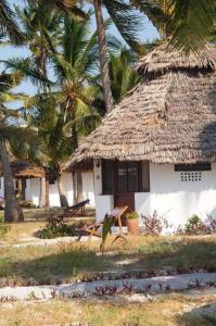 Kilwa MasokoKilwa Beach Lodge的茅草屋顶小屋,长凳和棕榈树