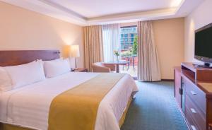 波哥大GHL首都酒店的酒店客房设有一张大床和一台电视。