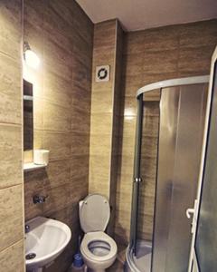 特尔古尼亚姆茨Hanul Ursilor的浴室配有卫生间、盥洗盆和淋浴。
