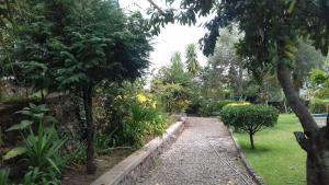 蓬德利马Residencial Retiro Sra. da Luz的种有树木和植物的花园