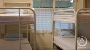 檀香山Hostel Honolulu的宿舍间内的3张双层床