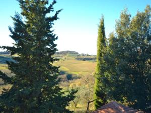 蒙泰斯佩尔托利Belvilla by OYO Il Camino的两棵树在田野里彼此相邻