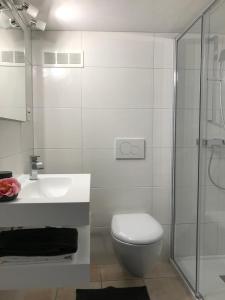 隆科索普拉阿斯科纳Casa Conti al Lago的浴室配有卫生间、盥洗盆和淋浴。