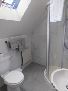 亚达尔The Hollies的浴室配有卫生间、淋浴和盥洗盆。