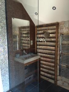 LozeLa Maison Du Meunier的一间带水槽和玻璃淋浴的浴室
