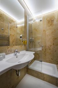 布拉格克雷门庭酒店的一间带水槽和淋浴的浴室