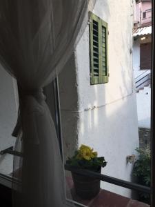 PilzoneCasa del Nespolo的花盆窗上的婚纱