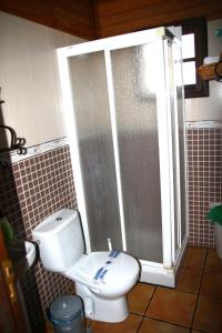 摩亚Cabañas Valle Verde的一间带卫生间和玻璃淋浴间的浴室