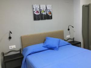 贝纳斯克Apartamentos Maladeta的一间卧室配有一张带蓝色床罩的床