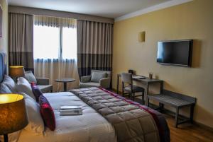 布宜诺斯艾利斯布宜诺斯艾利斯格兰德布里佐酒店的配有一张床和一台平面电视的酒店客房