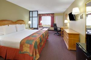 特勒尔特雷尔贝蒙特套房酒店 的酒店客房设有一张大床和一张书桌。