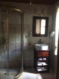 波兹思斯塔法尼亚宾馆的带淋浴和盥洗盆的浴室