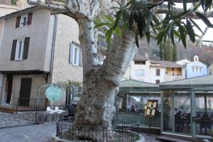 穆斯捷-圣玛丽朱尔旅馆的一座有商店的建筑前的树