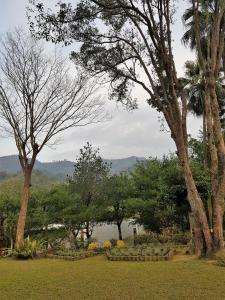 狮潭八角隐士庄园的一座树木繁茂的公园,一座湖泊