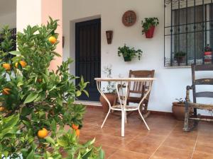 普里埃格·德·科尔多巴Villa La Quinta的桌子和椅子前的橘子树