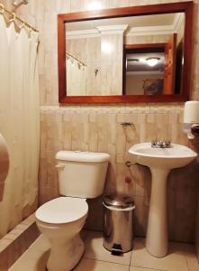 昆卡Posada Todos Santos的一间带卫生间、水槽和镜子的浴室