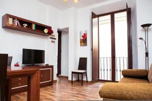 格拉纳达卡萨德拉龙佳公寓的带沙发和电视的客厅