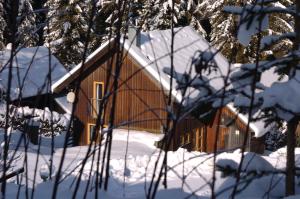 VerditzVerditzhütte的雪中木屋,有雪覆盖的树木