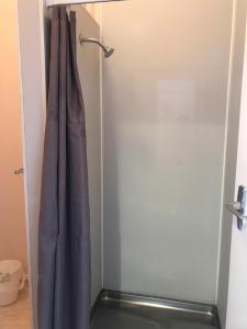亚历山德拉Criterion Club Hotel的浴室内带浴帘的淋浴门