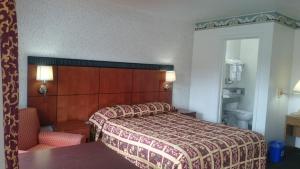 蒙特雷蒙特雷会展中心酒店 的配有一张床和一把椅子的酒店客房