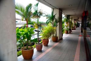 吉隆坡嘉利堡酒店的相册照片