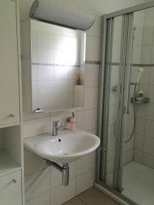 卢塞恩Charming Studio near Rotsee Lucerne Kitchen/WiFi/Wasching machine的浴室配有盥洗盆和带镜子的淋浴