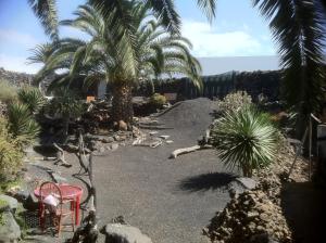 UgaLa Finca Uga的一个带红色椅子和棕榈树的花园