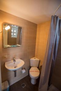 纳弗帕克托斯尼基酒店的一间带卫生间、水槽和镜子的浴室
