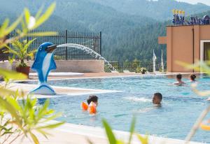 韦林格勒公园和Spa维拉山酒店的一群人在游泳池里,游泳池里有一个海豚喷泉