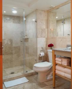 墨西哥城阿尔特扎波朗科酒店的一间带卫生间和淋浴的浴室