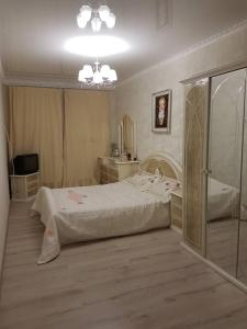 克列缅丘格Luxurious apartments at Soborna St的一间卧室配有一张大床和镜子