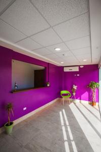 马那瓜Airport Inn Managua的一间拥有紫色墙壁和绿色椅子的客房